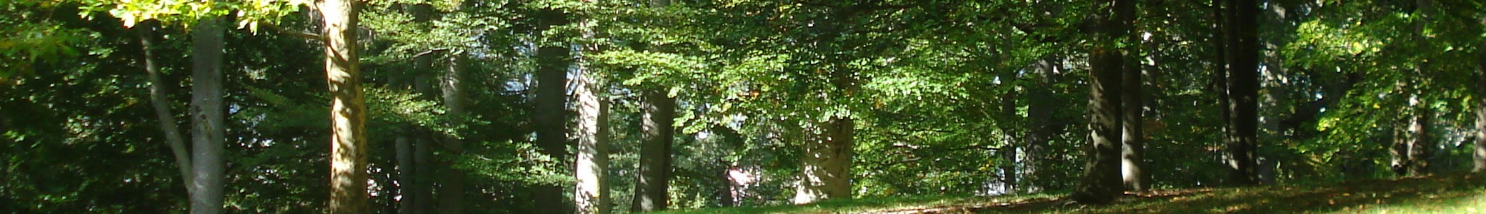 Natuur — rust en beweging